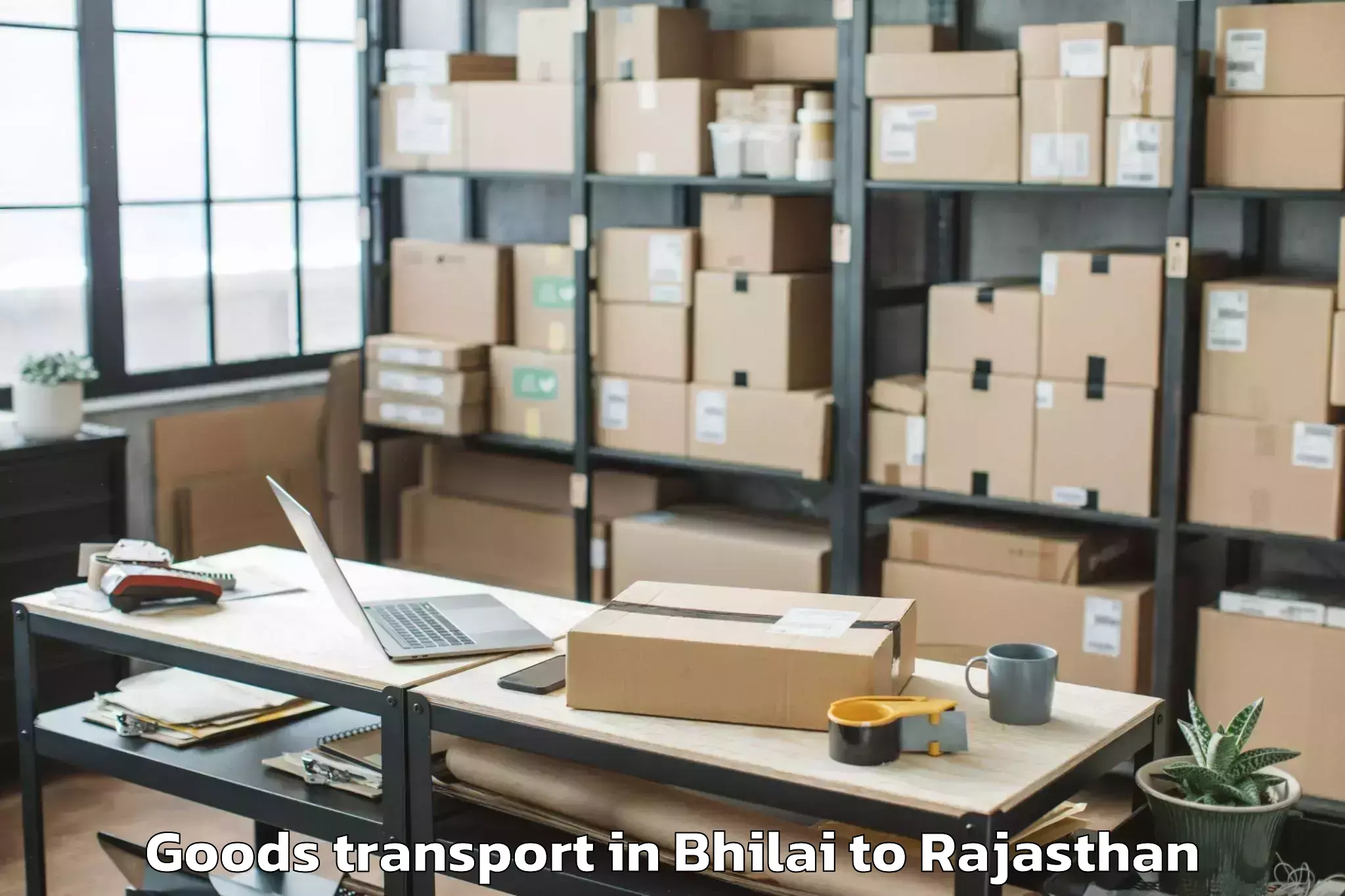 Easy Bhilai to Gogunda Goods Transport Booking